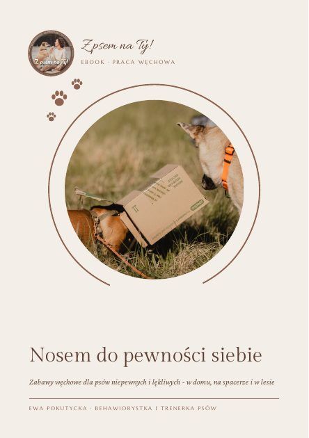 Okładka ebooka Nosem do pewności siebie