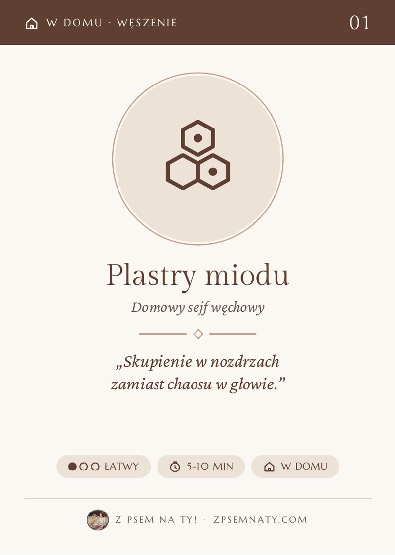 Karta „Plastry miodu” - zabawa węchowa w domu, poziom łatwy